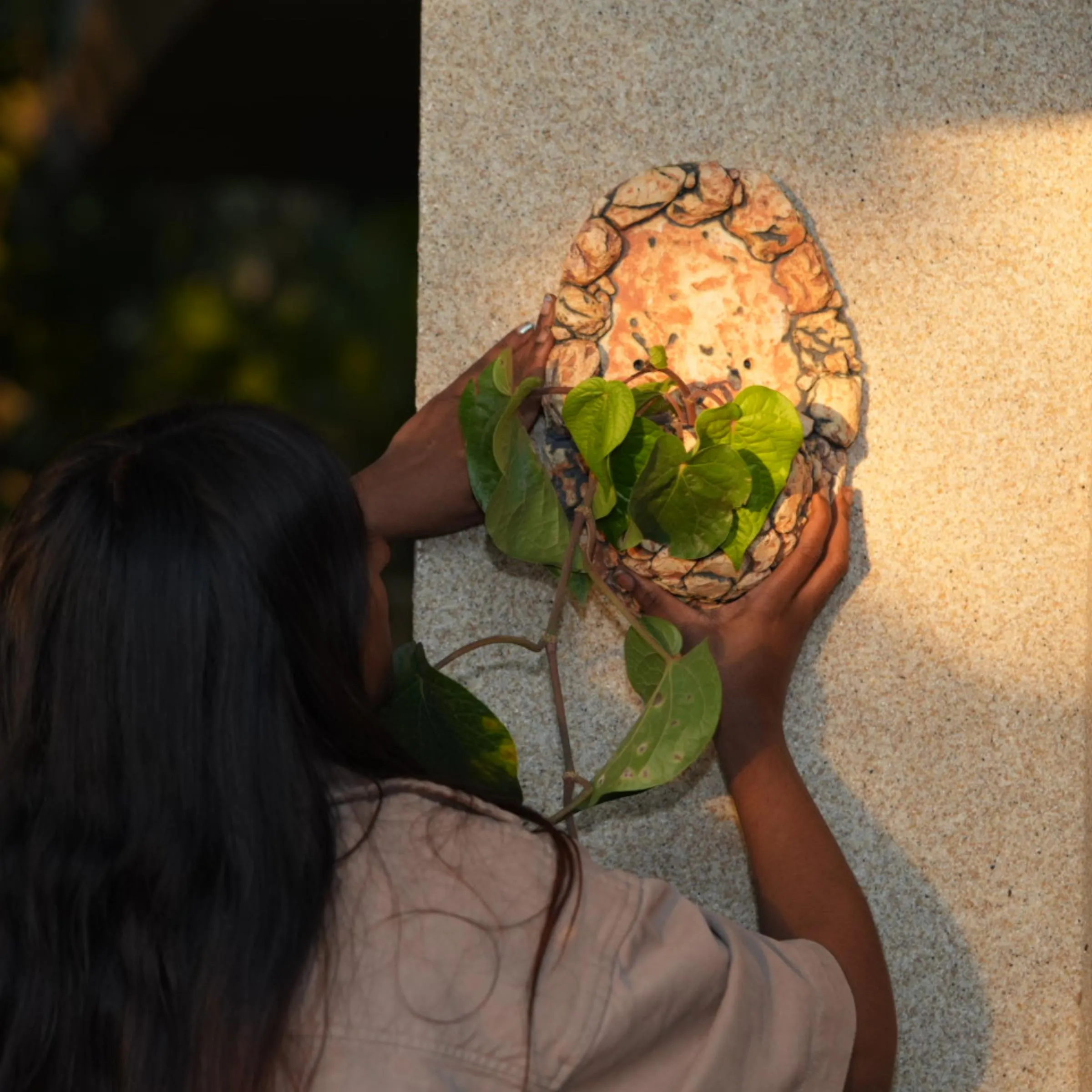 Wall Planters