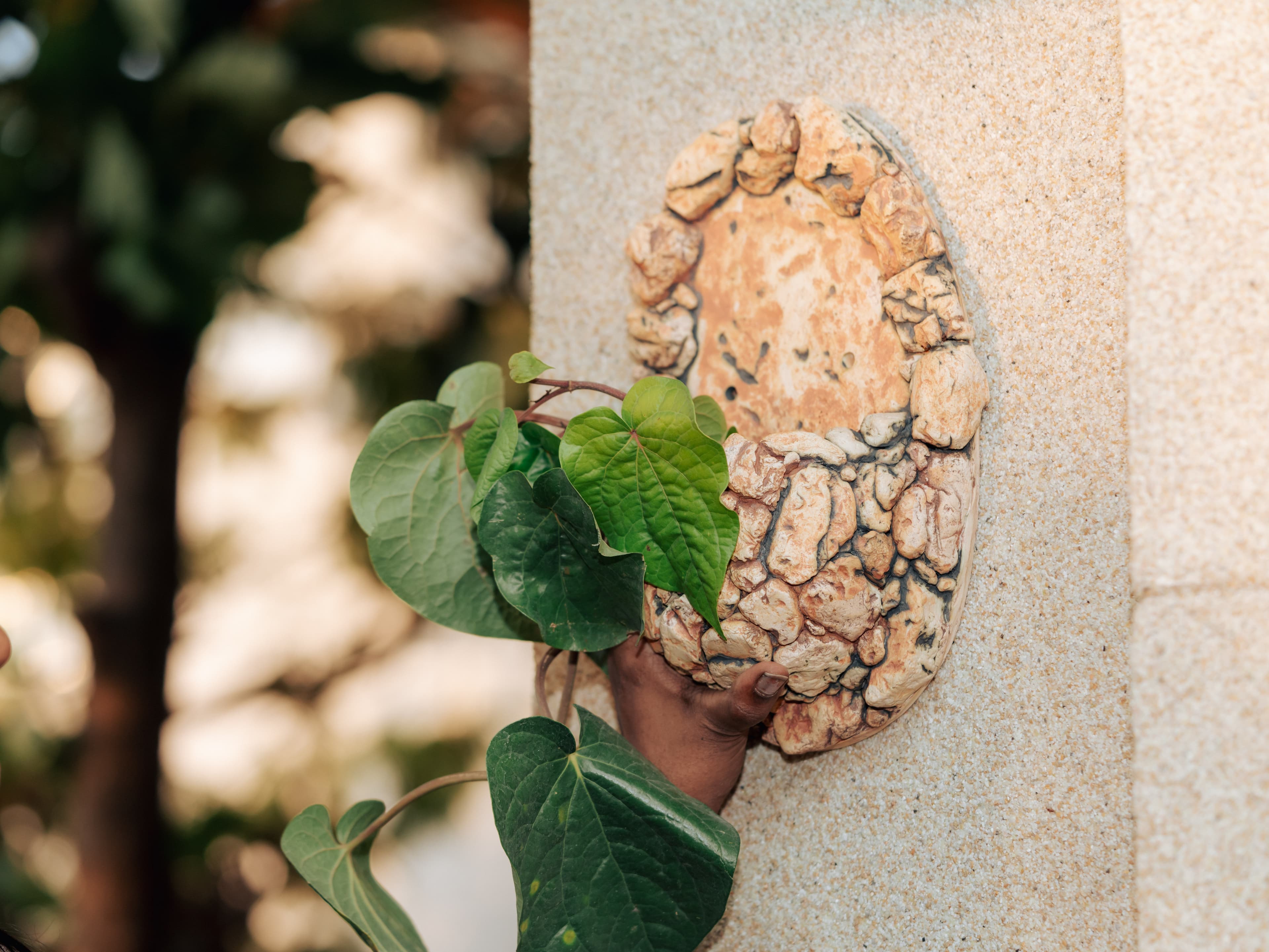 Wall Planters