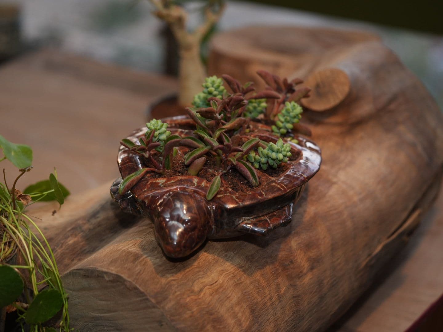 Table Planters & more