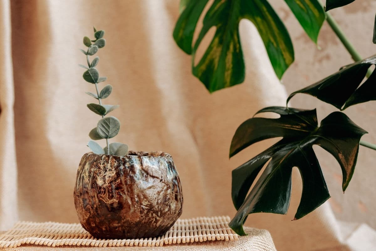 Planters