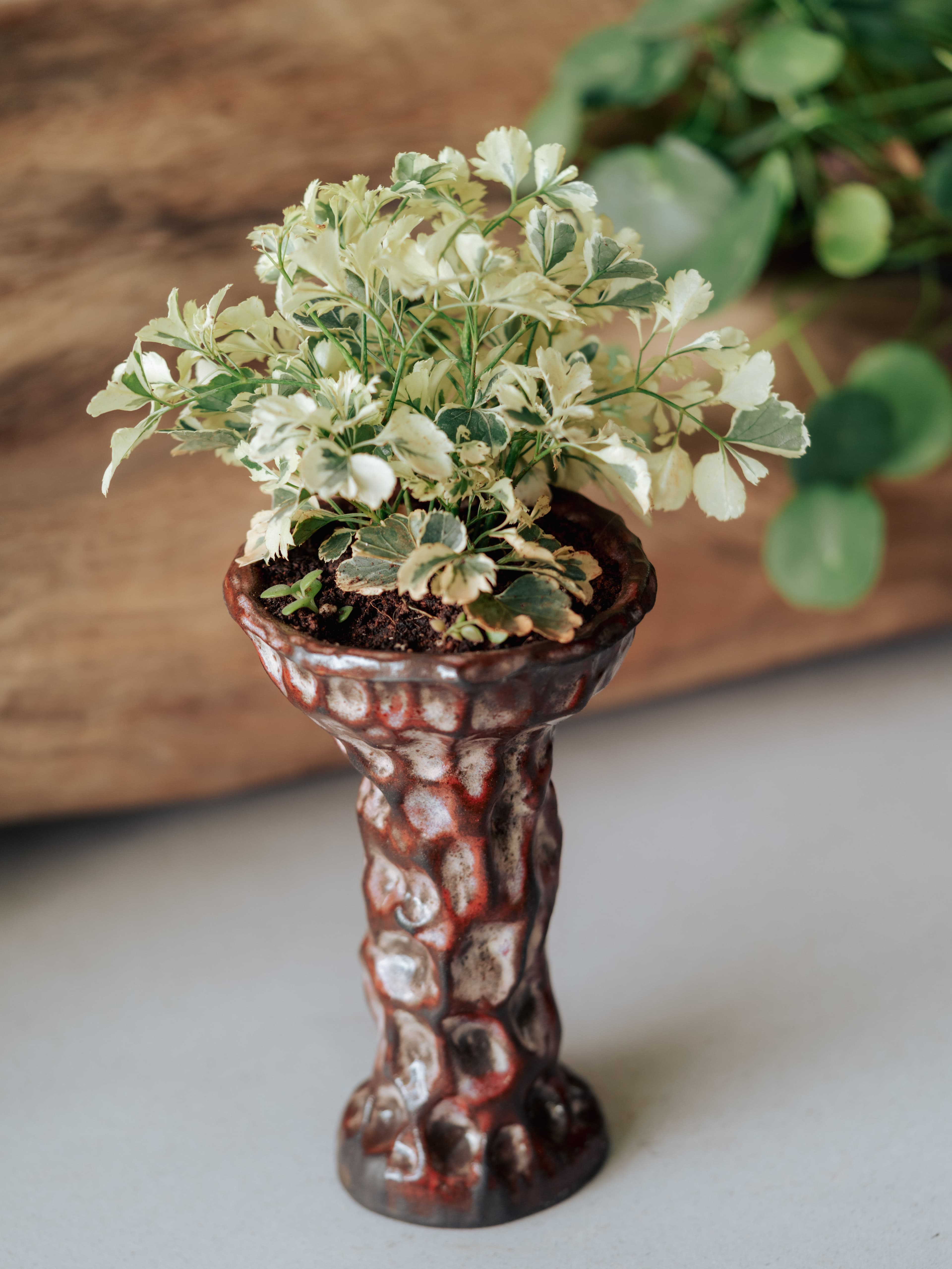 Table Planters & more