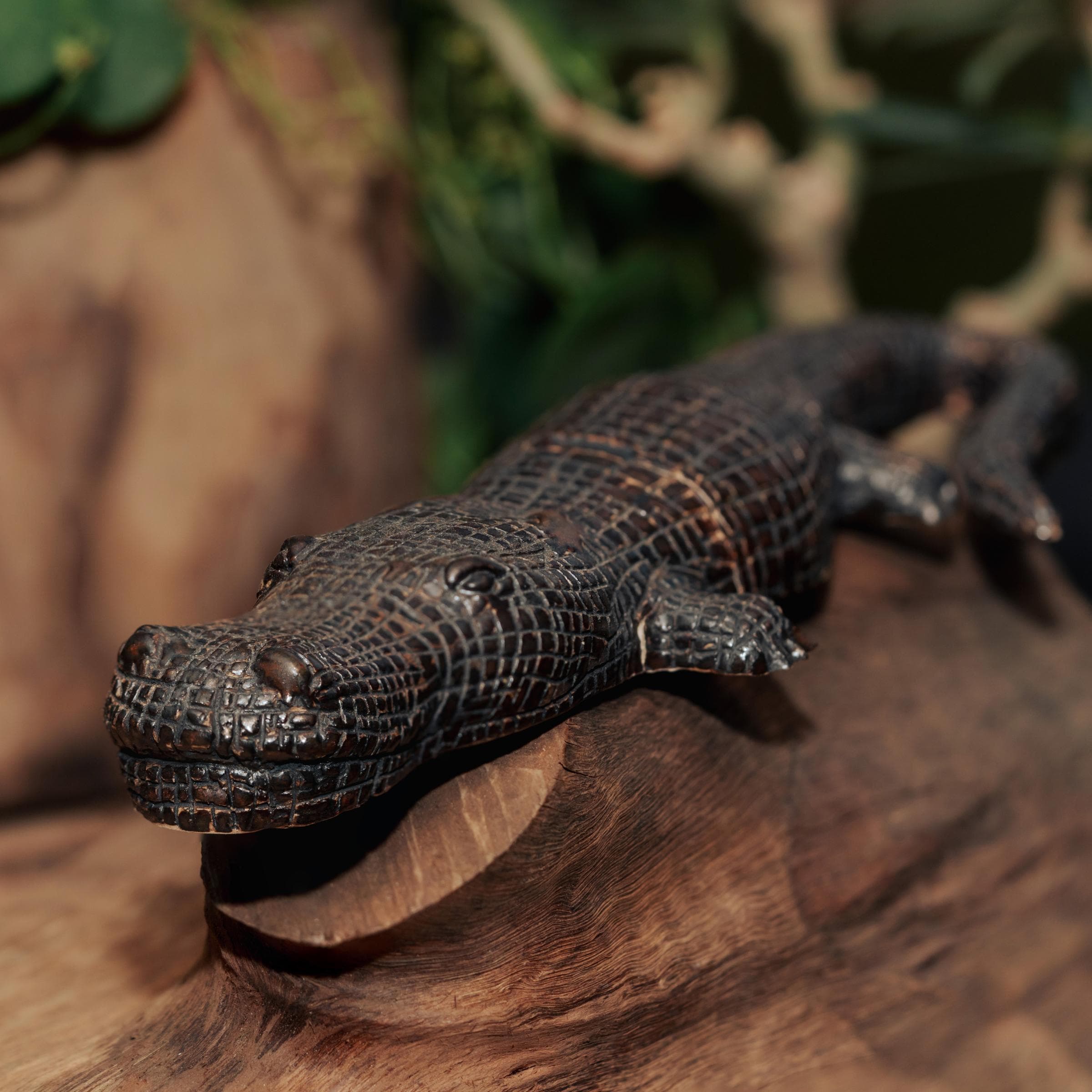 Crocodile
