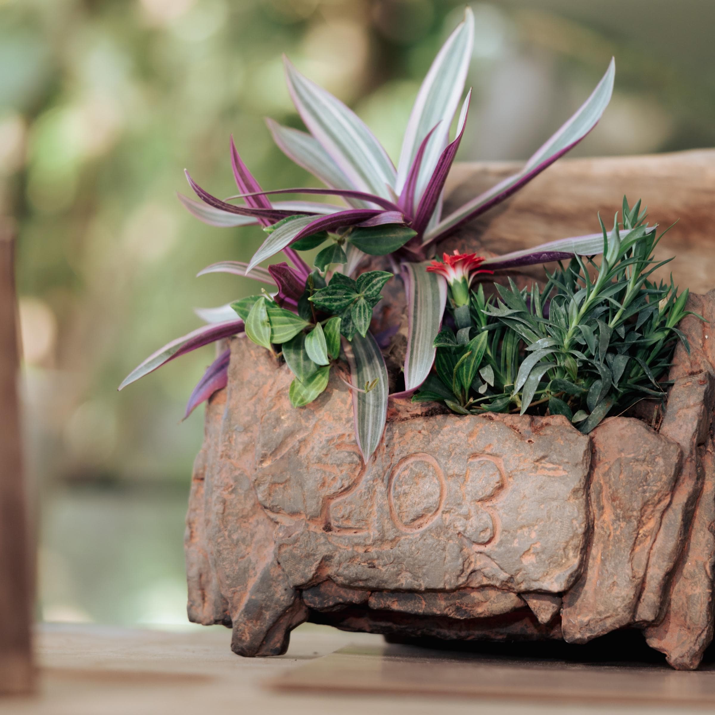 Cliff Garden