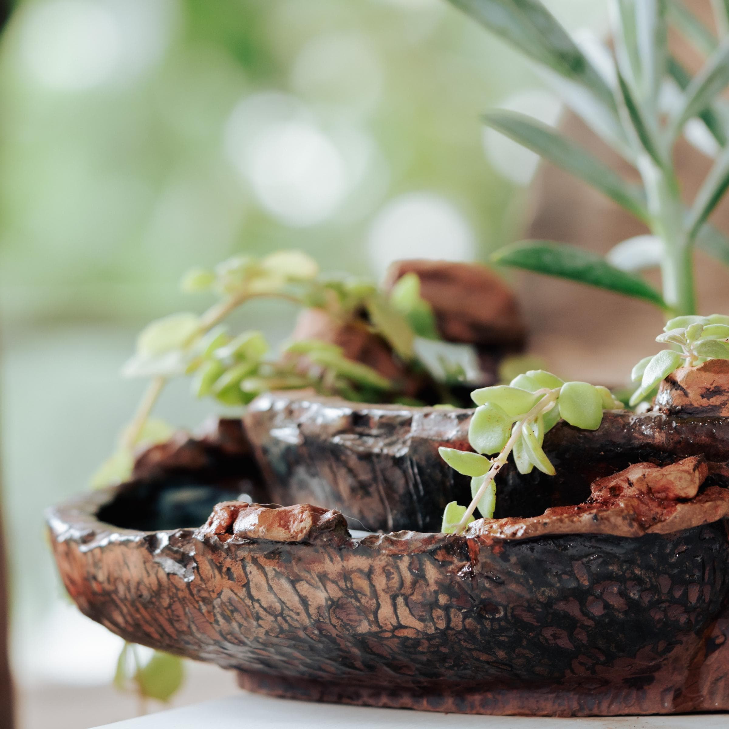Pond Planter