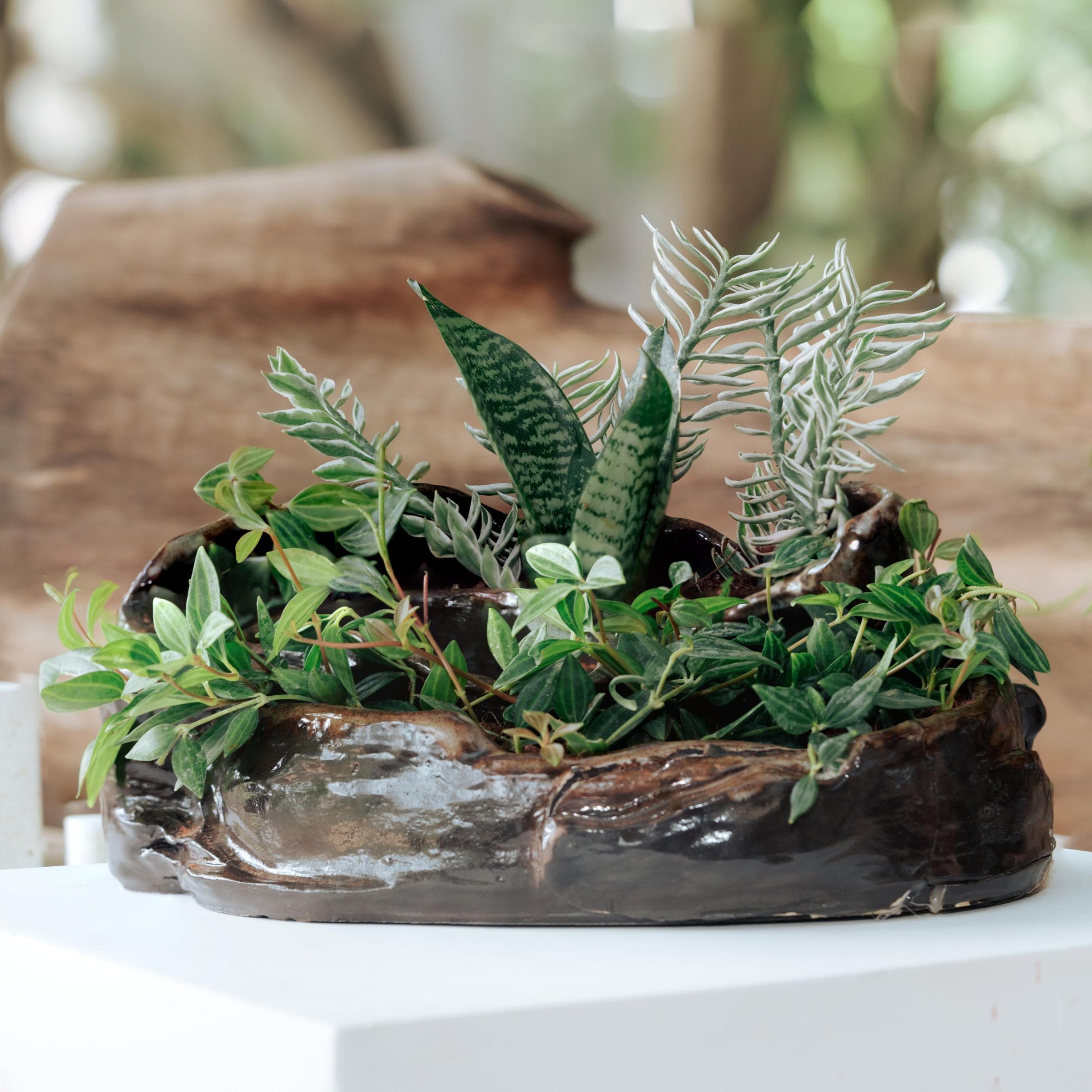 Bali Planter
