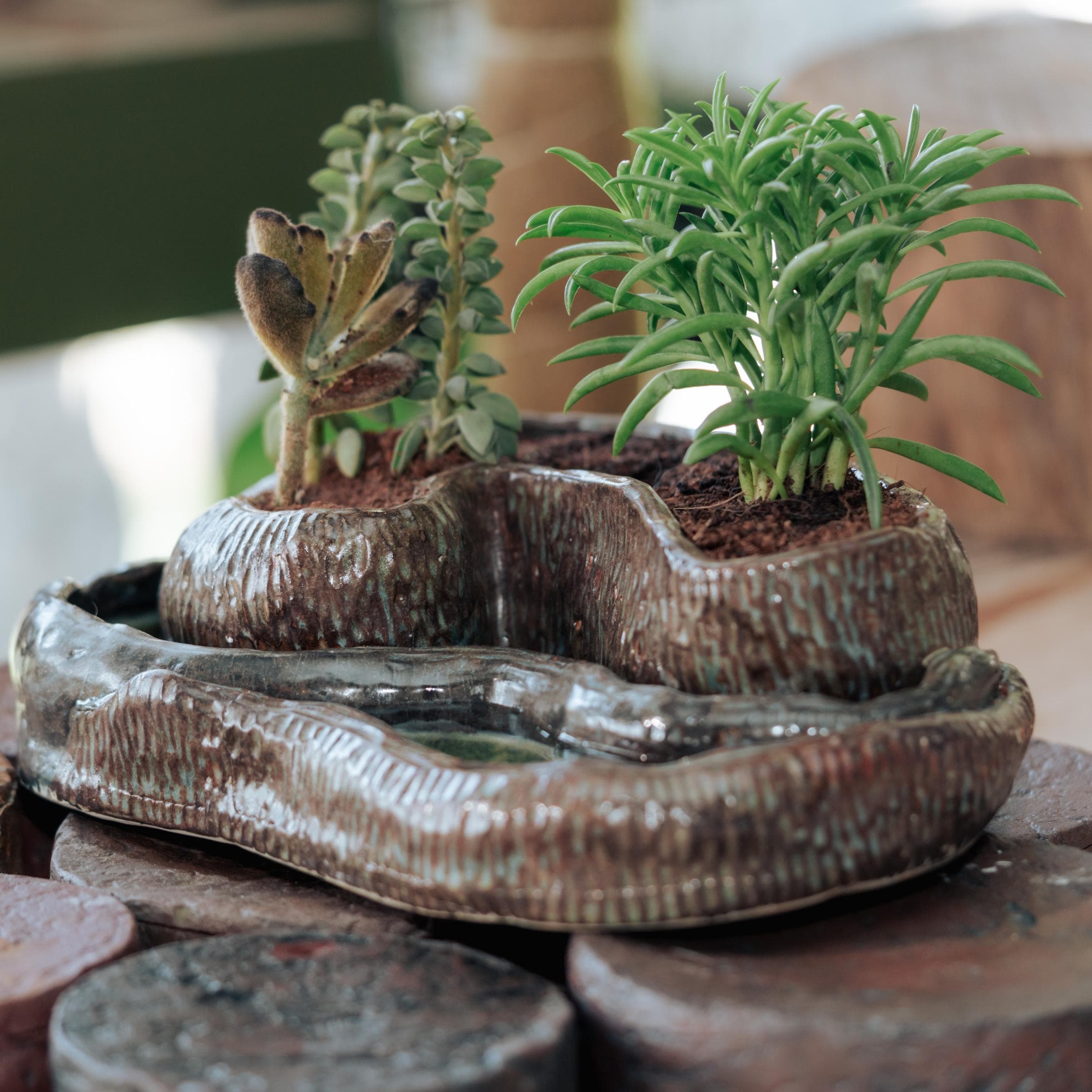 Bali Planter II